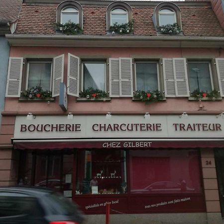 "Cote Nature", Appartement Cosy Au Coeur De Munster Munster  Extérieur photo