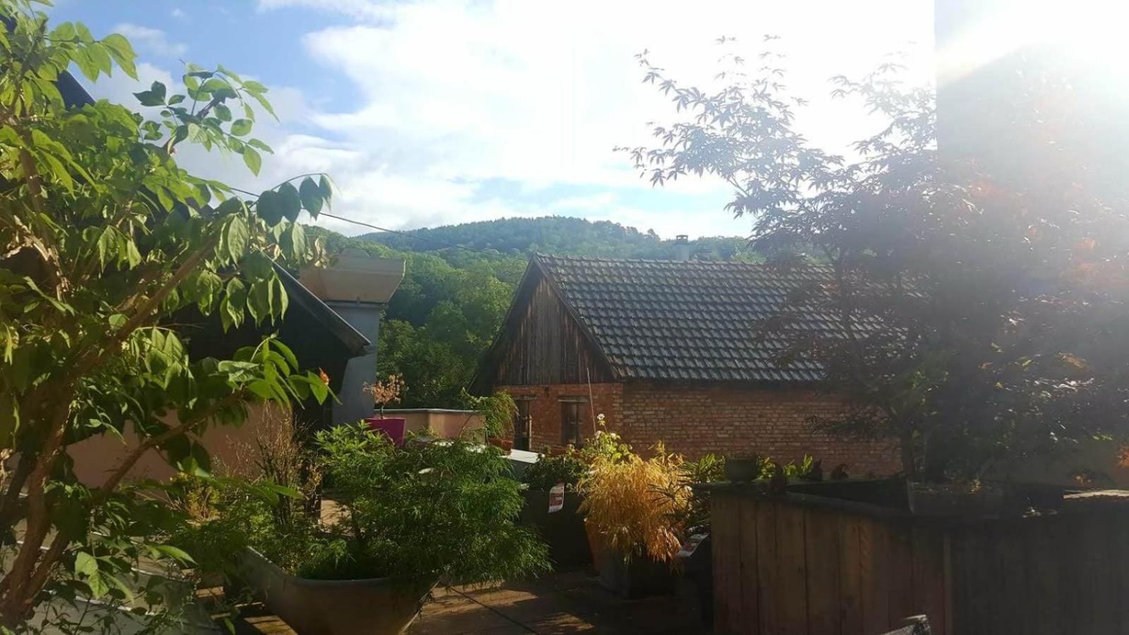 "Cote Nature", Appartement Cosy Au Coeur De Munster Munster  Extérieur photo