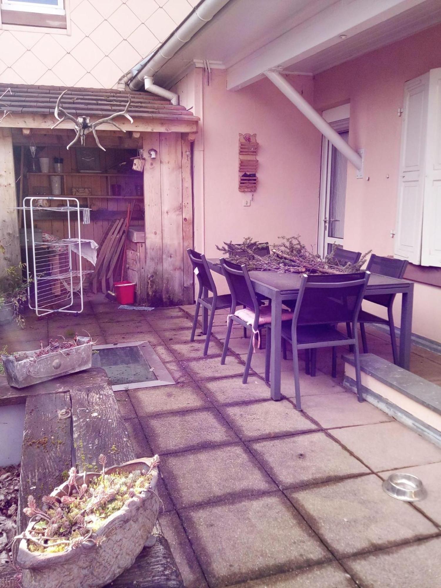 "Cote Nature", Appartement Cosy Au Coeur De Munster Munster  Extérieur photo