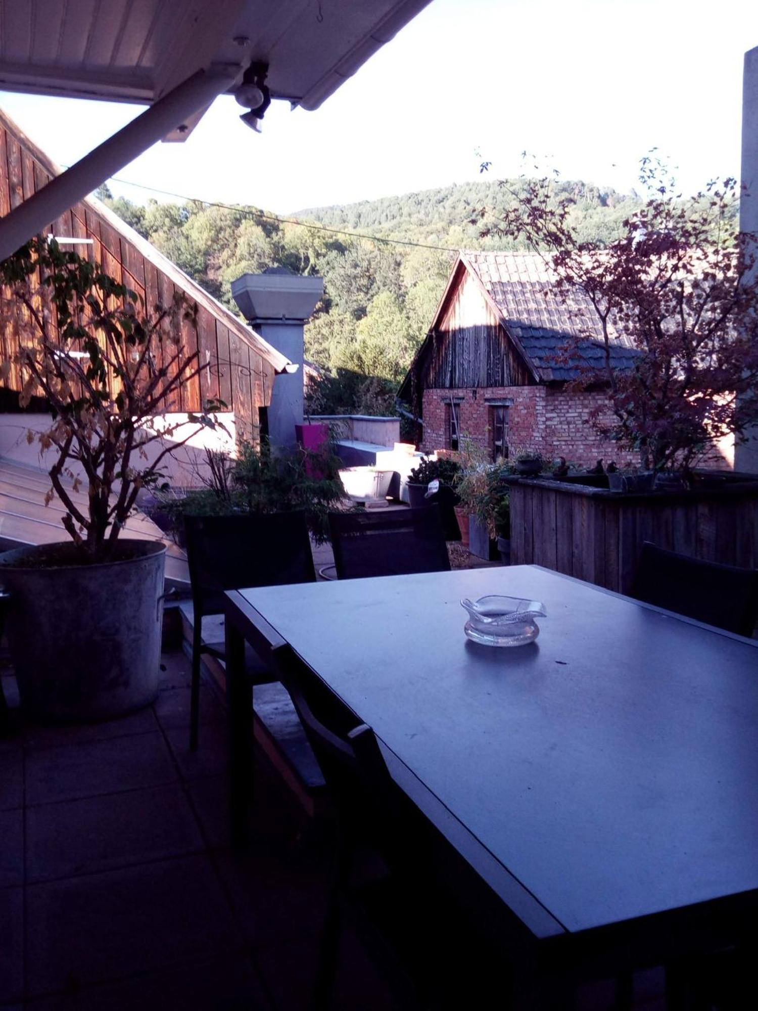 "Cote Nature", Appartement Cosy Au Coeur De Munster Munster  Extérieur photo